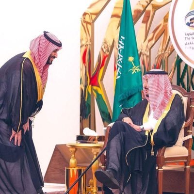 Material and Service Standardization Specialist | LPTC-Certified Translator | Member of @SATA_Saudi | BA in English Language and Translation | MA student at PNU