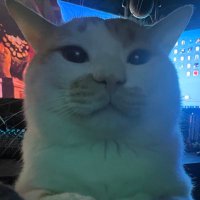 とりっぴぃぃぃぃぃぃ (@cpn_tr1p) Twitter profile photo