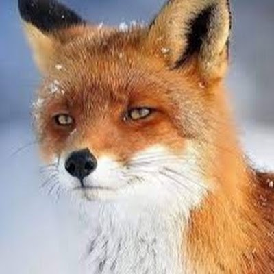 mychael112999's profile picture. 