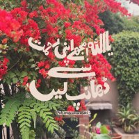 Amina (@aminakhalid25) 's Twitter Profile Photo Amina (@aminakhalid25) 's Twitter Profile Photo