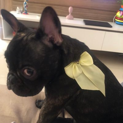 isacorreiak's profile picture. apocalítica