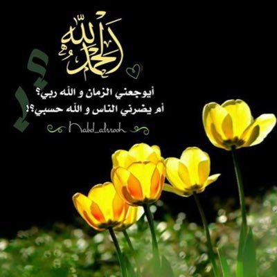 ((وَاصْبِرْ لِحُكْمِ رَبِّكَ فَإِنَّكَ بِأَعْيُنِنَا )) في هذه الاية تكمن الطمأنينة )) ❌الخاص ممنوع ❌احترامك لرغبتنا بعدم التواصل خاص دليل احترامك لنفسك ..
