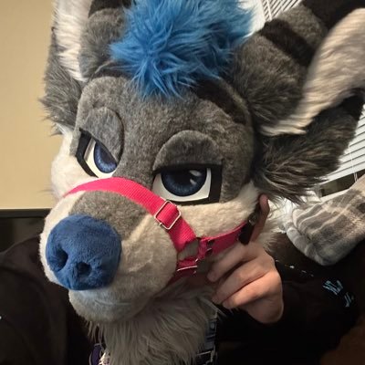 21 • 🐾🧦🩲🔞bottom husky in Pittsburgh • 18+ plssss 🧡@zowahh🖤