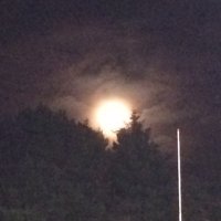 Paul (@paulsbulmer3) 's Twitter Profile