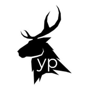 Professional Photography & Video Services