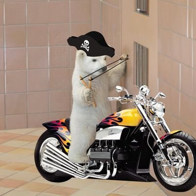 GAPLN05's profile picture. $chiln

@calmbearsol