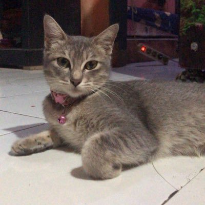 Yunita1210ygy's profile picture. 