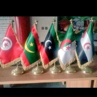 Anaïs sešëm 🇩🇿🇩🇿🧲🇵🇸🩸🇩🇿🇩🇿 (@mimisanazi) Twitter profile photo