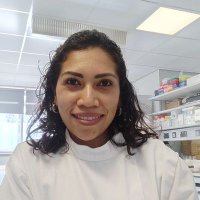 Brenda J. Peña Carrillo (@brenjpc) 's Twitter Profile