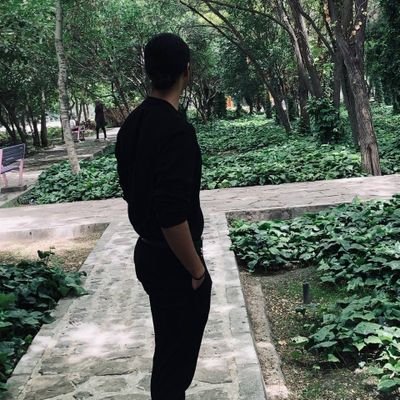 programmer💻