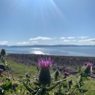 My Scotland Pics