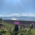 My Scotland Pics (@myscotlandpics) Twitter profile photo My Scotland Pics (@myscotlandpics) Twitter profile photo