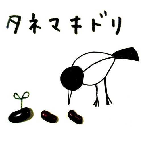 タネマキドリさんのプロフィール画像