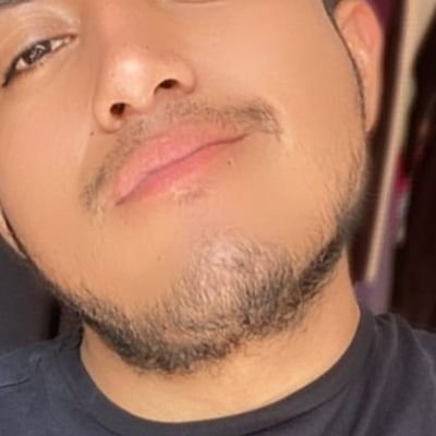 andysebas2931's profile picture. Quiteño serio