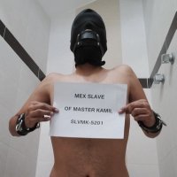 Latino slaves 4 master kamil (@slvmk5201) 's Twitter Profile Photo