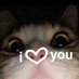 Reese (@countryreesex) Twitter profile photo Reese (@countryreesex) Twitter profile photo
