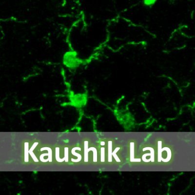 Our Lab focuses on understanding the role of different metabolic pathways that guide monocytes/macrophages and microglia to dictate neuroinflammation during MS.
