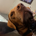 Todd Macgregor (@toddmacgre22607) Twitter profile photo Todd Macgregor (@toddmacgre22607) Twitter profile photo