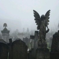 Lizzy Bordeaux (@lizzybwriting) 's Twitter Profile Photo Lizzy Bordeaux (@lizzybwriting) 's Twitter Profile Photo