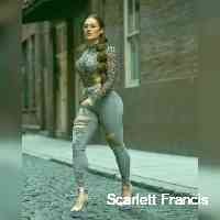 scarcettlfranr's profile picture. nyc