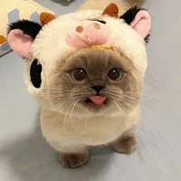 π» β¨pjw1 πππΌ (@jwoosfave) 's Twitter Profile