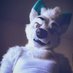 Not here (@techn0fox) Twitter profile photo Not here (@techn0fox) Twitter profile photo