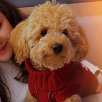 Teddy 🧸 (@pofidikteddy) Twitter profile photo