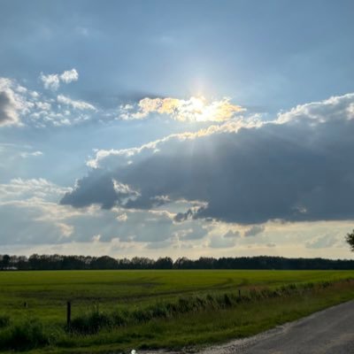 Patatje_lana's profile picture. 