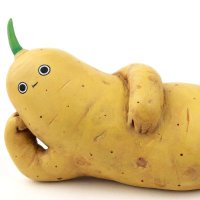 Potatohead (@merseypotato) 's Twitter Profile