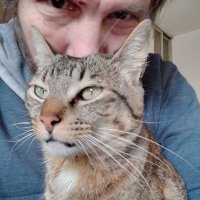Daniel Delaye (@deldani7885) 's Twitter Profile