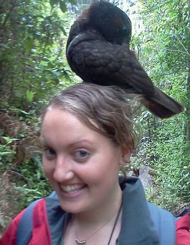 Strategy, policy and collaboration for biodiversity conservation. Fascinated by the big questions. #conservation #nzbiodiversity