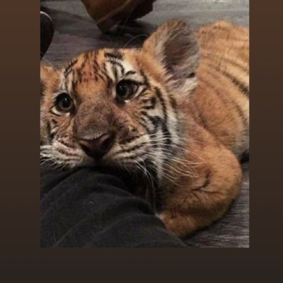 Sofia0064343486's profile picture. Here my new account, My old account been hack!!