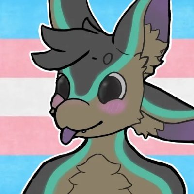 HOi! Am borb, likes to play rhythm games and minecraft. Transfem and ace! Aviation is life ✈️