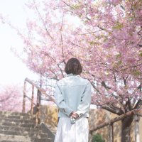 はる@スマホで簡単副業 (@02harukaru) Twitter profile photo