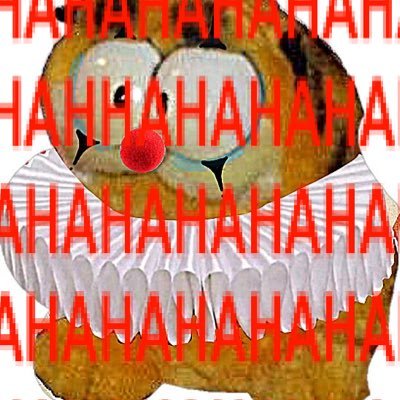 ohhnodavid's profile picture. 