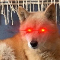 Bhodlr (@bhodlr1) 's Twitter Profile