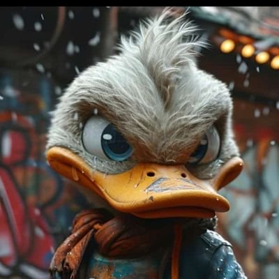sharkman2024's profile picture. 