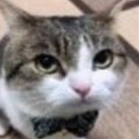 TheRaven_v08 (@demianvv2) 's Twitter Profile
