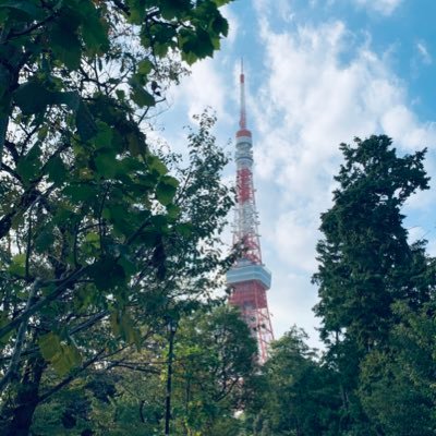 955274Engineer's profile picture. ‘96 SE💻 Python Go TypeScript