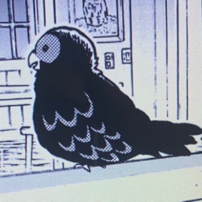 pootpootpoot_'s profile picture. theropod enthusiast | i always respond reasonably to happenings and situations