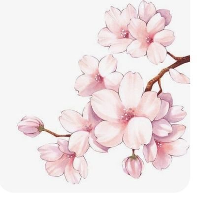 lune_star024's profile picture. 