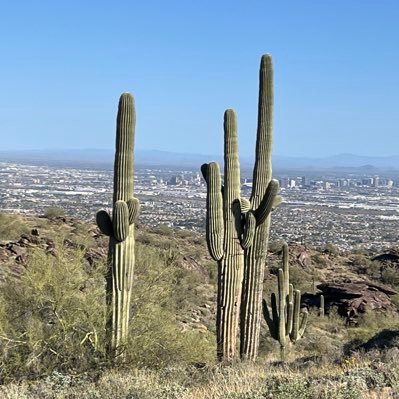 purplestatemyth's profile picture. 