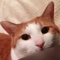 moumou (@moumounanana) 's Twitter Profile Photo