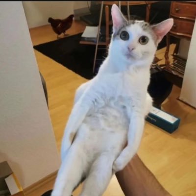 sonny_jim12765's profile picture. erm idk man
