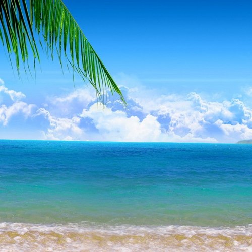 KATHS97's profile picture. Wife. Mum. Optimist. 2 sides to every story. Then there’s the TRUTH to find. Can't tolerate ignorant uninformed people.! Never too old to learn.