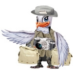 PeristeriNet's profile picture. Peristeri Net Ειδησεογραφικό Portal Δυτικής Αττικής