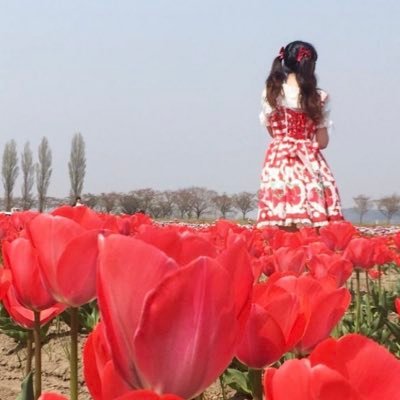 ccsakura1227's profile picture. 