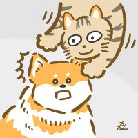 マーブルと善(ぜん)ちゃん (@maaabuluuu) 's Twitter Profile