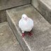 datacompost (@pdf27041622) Twitter profile photo datacompost (@pdf27041622) Twitter profile photo