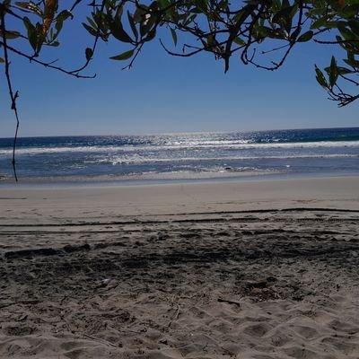 Costacalie69088's profile picture. 